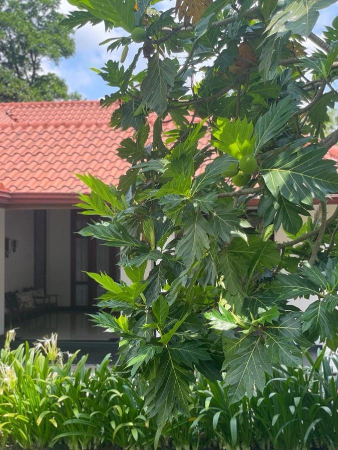 Villa Crystals Malabe Ngoại thất bức ảnh